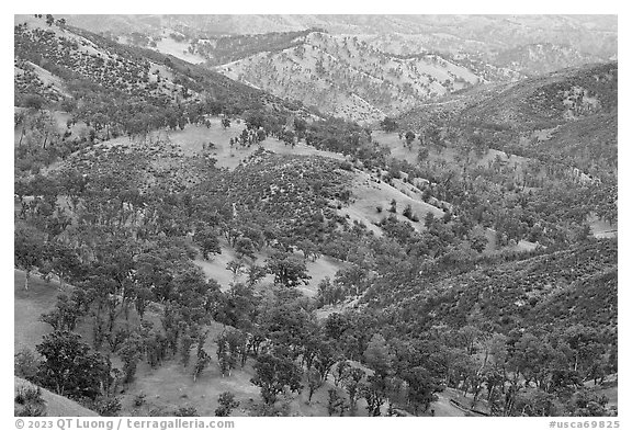 Green hills surrounding Zim Zim Creek. Berryessa Snow Mountain National Monument, California, USA (black and white)