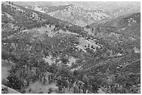 Green hills surrounding Zim Zim Creek. Berryessa Snow Mountain National Monument, California, USA ( black and white)