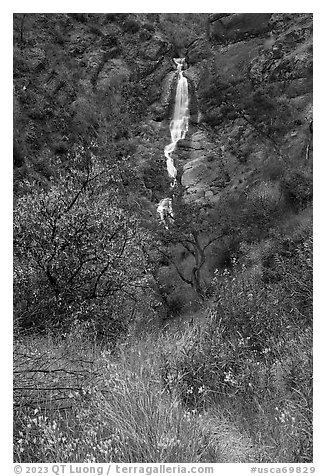 Ithuriel Spear and Zim Zim Falls in the spring. Berryessa Snow Mountain National Monument, California, USA (black and white)
