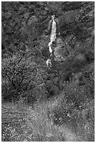 Ithuriel Spear and Zim Zim Falls in the spring. Berryessa Snow Mountain National Monument, California, USA ( black and white)