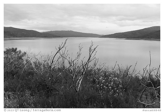 Shore of Indian Valley Resevoir in the spring. Berryessa Snow Mountain National Monument, California, USA (black and white)