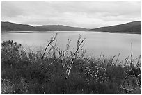 Shore of Indian Valley Resevoir in the spring. Berryessa Snow Mountain National Monument, California, USA ( black and white)