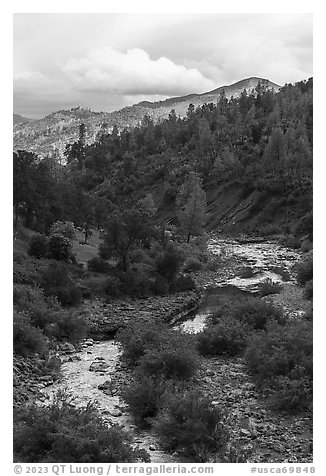 Bear Creek near the confluence with Cache Creek. Berryessa Snow Mountain National Monument, California, USA (black and white)