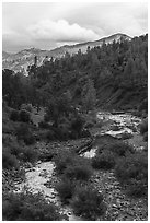 Bear Creek near the confluence with Cache Creek. Berryessa Snow Mountain National Monument, California, USA ( black and white)