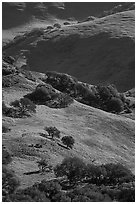 Hillsides in springtime. California, USA ( black and white)