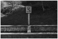 Signed cavalry horse water trough. California, USA ( black and white)