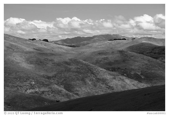 Rolling hills. California, USA (black and white)