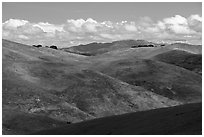 Rolling hills. California, USA ( black and white)