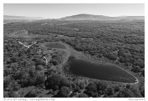Aerial view of string of ponds. California, USA (black and white)