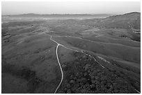 Aerial view of roads, gently rolling hills, with Salinas Valley in the distance. California, USA ( black and white)