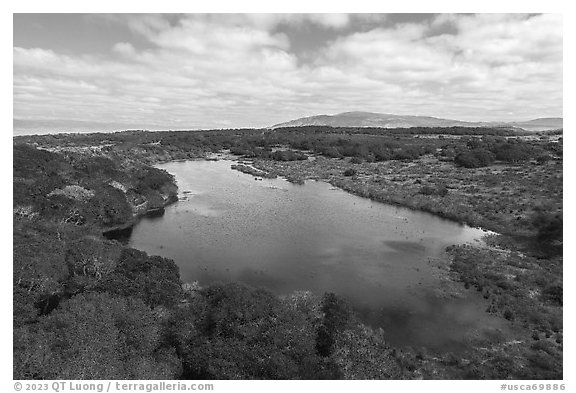 Aerial view of pond with Mt Toro in the distance. California, USA (black and white)