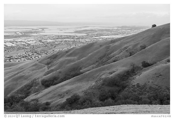 Fremont and San Francisco Bay from Monument Peak, Ed Levin County Park. California, USA (black and white)