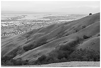 Fremont and San Francisco Bay from Monument Peak, Ed Levin County Park. California, USA ( black and white)
