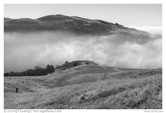 Hiker on hills above low fog in Alum Rock Canyon, Sierra Vista Open Space Preserve. San Jose, California, USA (black and white)