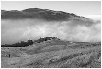 Hiker on hills above low fog in Alum Rock Canyon, Sierra Vista Open Space Preserve. San Jose, California, USA ( black and white)