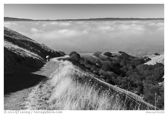 Hiker on trail above low fog in Silicon Valley, Sierra Vista Open Space Preserve. San Jose, California, USA (black and white)