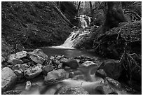 Upper Falls, Uvas Canyon County Park. California, USA ( black and white)