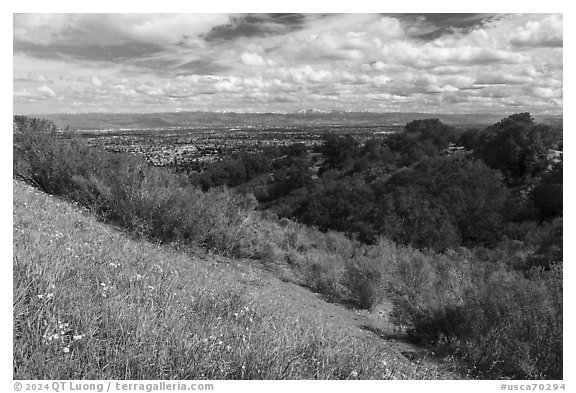 Wildflowers, Silicon Valley, and snowy hills, Fremont Older Preserve. California, USA (black and white)