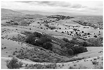 View from Coyote Peak, Santa Teresa County Park. California, USA ( black and white)