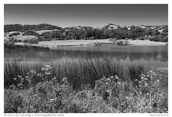 Grant Lake in springime, Joseph Grant County Park. San Jose, California, USA (black and white)
