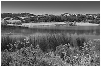 Grant Lake in springime, Joseph Grant County Park. San Jose, California, USA ( black and white)