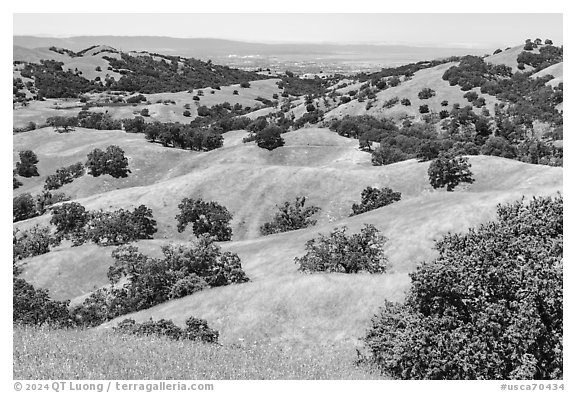 Springtime hllls and Silicon Valley in the distance, Joseph Grant County Park. San Jose, California, USA (black and white)