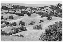 Springtime hllls and Silicon Valley in the distance, Joseph Grant County Park. San Jose, California, USA ( black and white)