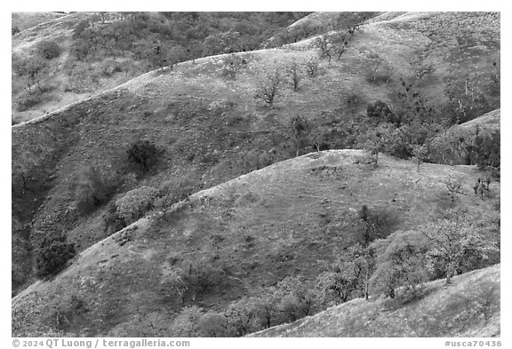 Hills and ridges in autumn, Joseph Grant County Park. San Jose, California, USA (black and white)