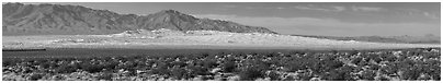 Vast Kelso Sand Dune field. Mojave National Preserve, California, USA (Panoramic black and white)