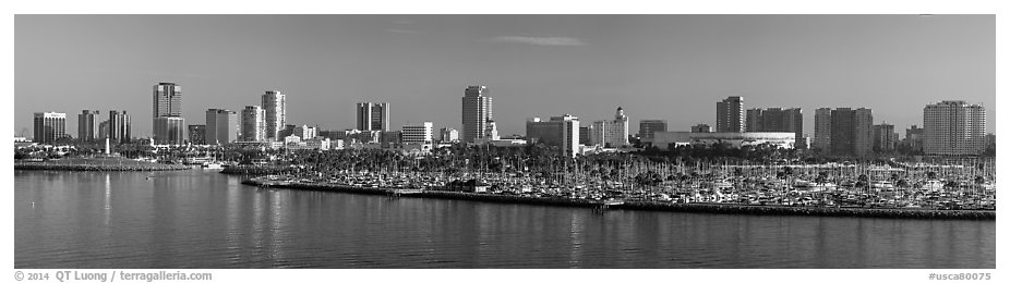 Skyline with harbor. Long Beach, Los Angeles, California, USA (black and white)