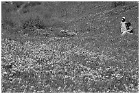 Man and girl in a wildflower field. Antelope Valley, California, USA (black and white)