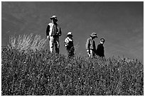 Family strolling in a field of lupines. Antelope Valley, California, USA (black and white)