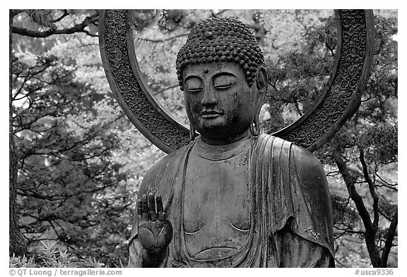Buddha statue in the Japanese Garden, Golden Gate Park. San Francisco, California, USA (black and white)