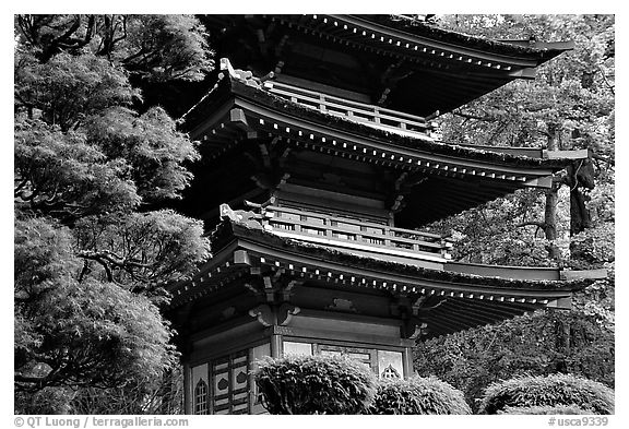 Pagoda, Japanese Garden, Golden Gate Park. San Francisco, California, USA (black and white)