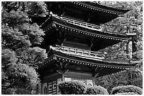 Pagoda, Japanese Garden, Golden Gate Park. San Francisco, California, USA ( black and white)