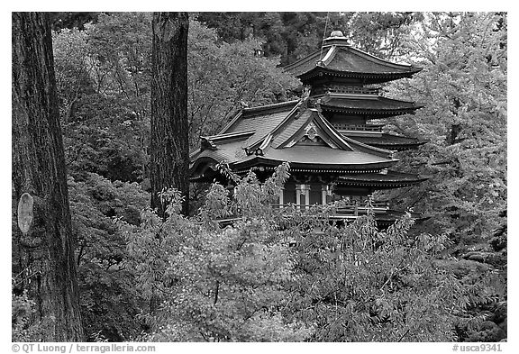 Pagoda amidst trees in fall colors, Japanese Garden, Golden Gate Park. San Francisco, California, USA (black and white)