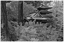 Pagoda amidst trees in fall colors, Japanese Garden, Golden Gate Park. San Francisco, California, USA ( black and white)