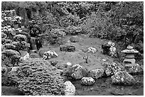 Cascade, rocks, and grass, Japanese Garden, Golden Gate Park. San Francisco, California, USA ( black and white)