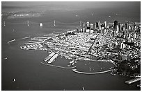 Aerial view of Downtown and Fisherman's wharf. San Francisco, California, USA ( black and white)