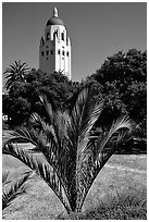 Hoover tower. Stanford University, California, USA (black and white)