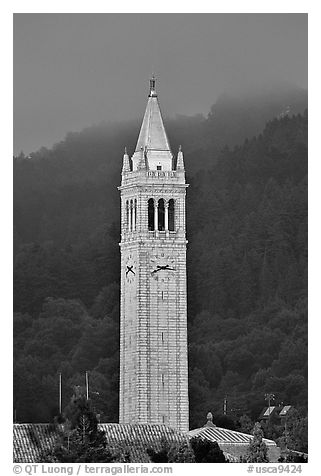 The Campanile, University of California at Berkeley campus. Berkeley, California, USA (black and white)