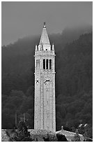 The Campanile, University of California at Berkeley campus. Berkeley, California, USA ( black and white)