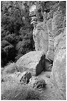 Volcanic rock cliffs. Pinnacles National Park ( black and white)