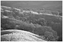 Hills, Joseph Grant County Park. San Jose, California, USA ( black and white)