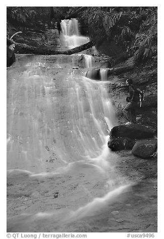 Golden cascade and hiker. Big Basin Redwoods State Park,  California, USA (black and white)