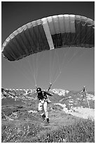 Paraglider launching, the Dumps, Pacifica. San Mateo County, California, USA ( black and white)