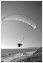 Paragliding above the ocean, the Dumps, Pacifica. San Mateo County, California, USA ( black and white)