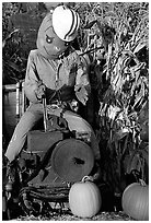 Scarecrow, Pumpkin patch. San Jose, California, USA (black and white)