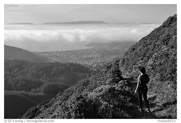 Hiker on Montara Mountain. San Mateo County, California, USA