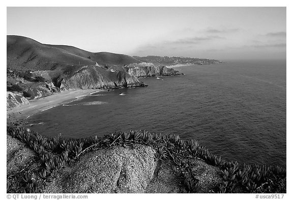Coastline near Devil's slide, sunset. San Mateo County, California, USA (black and white)